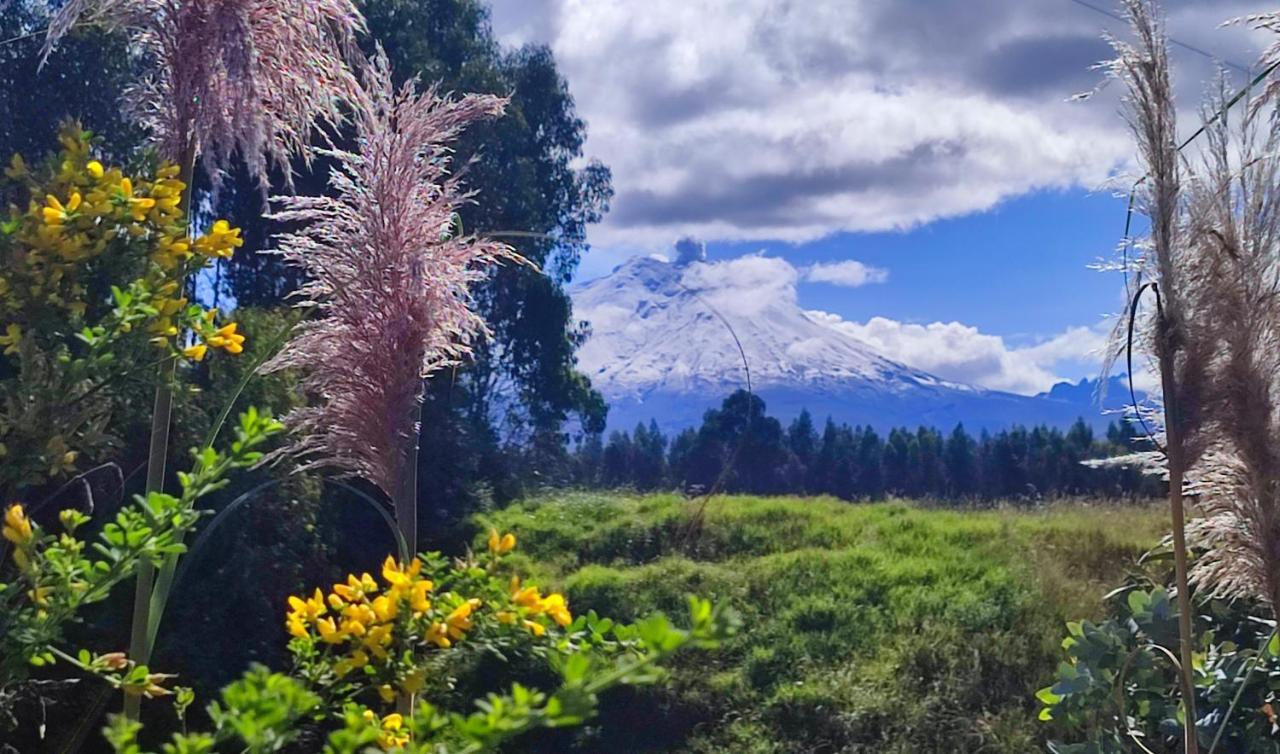 Cuscungo Cotopaxi Hostel & Lodge Chasqui Exterior photo