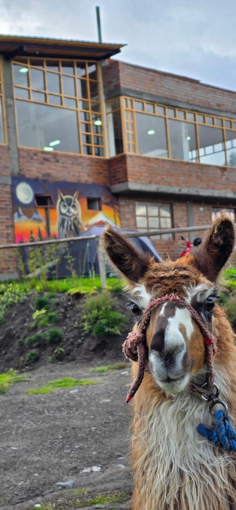 Cuscungo Cotopaxi Hostel & Lodge Chasqui Exterior photo